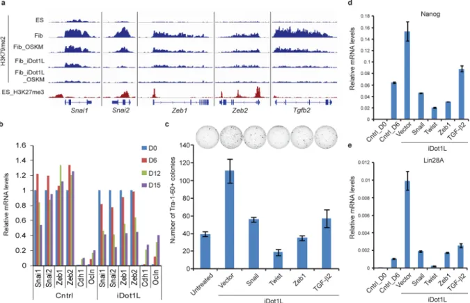 Figure 4. Genome-wide analysis of H3K79me2 marks during reprogramming