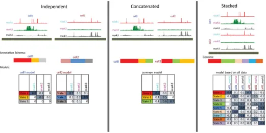 Figure 2. Overview of Different Options for Handling Multiple Cell Types in ChromHMM (Left) Multiple cell types are treated independently leading to a different model and  annotation for each cell type