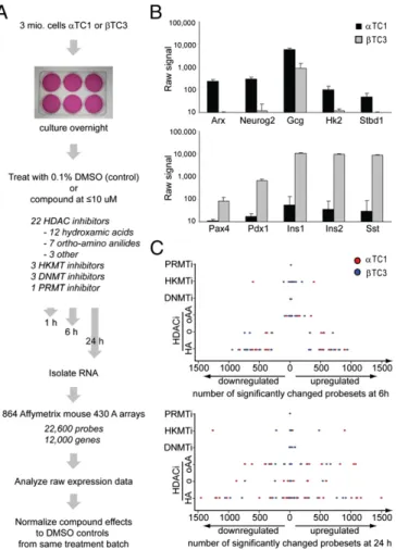 Fig. 1. α and β cells have distinct gene-expression signatures. (A) Experi- Experi-mental outline of expression pro ﬁ ling in mouse pancreatic endocrine cell lines