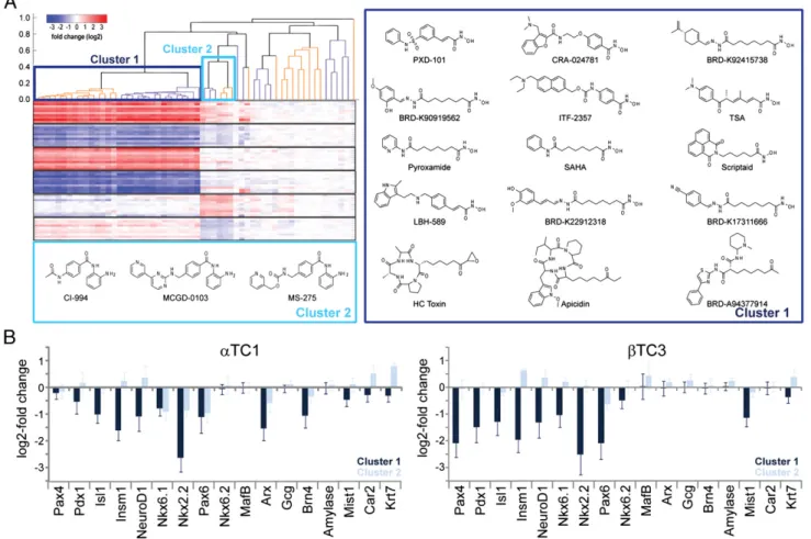 Fig. 2. Different chemical classes of HDAC inhibitors cause distinct transcriptional responses