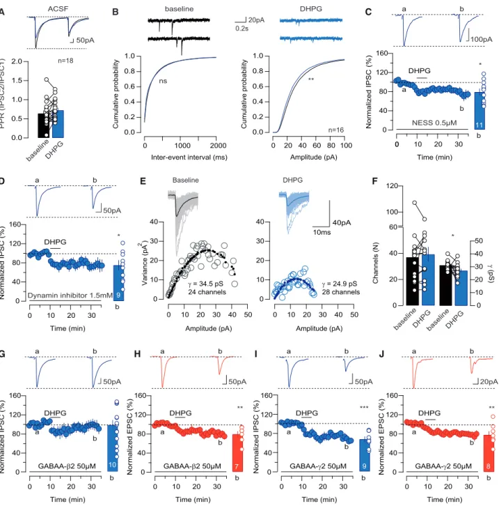 Figure 4. PKC Action on the GABA A -Rs- b 2 Subunit Underlies mGluR-iLTD