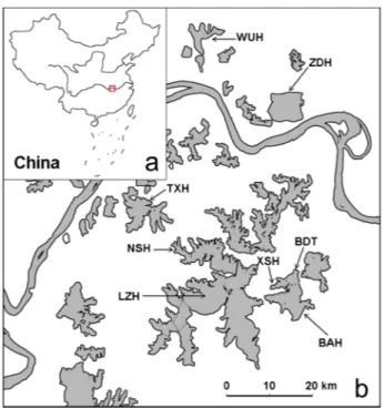 Figure 1. The eight lakes (b) and their location indicated by an empty square in the map of China (a)