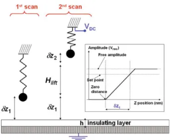 Fig. 1. (Color online) Principle of EFM microscopy using a double pass method. During the first scan topography is  ac-quired