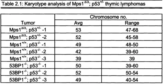 Table  2.1:  Karyotype  analysis  of Mpsl  ; p53.- thymic lymphomas Chromosome  no.