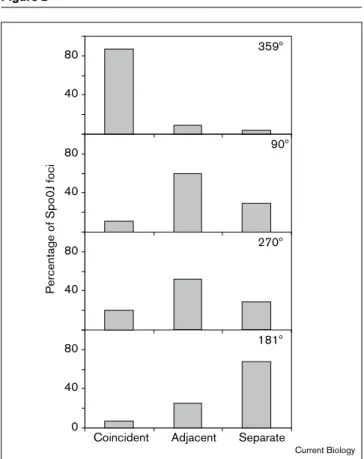 Figure 4a corresponds to the time-course of Figure 3, whereas Figure 4b documents a case in which most  sepa-ration occurred over a short time