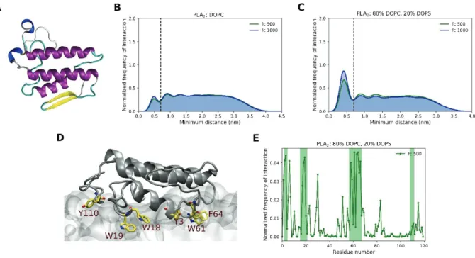 Figure 7: Binding of PLA 2  to lipid bilayers. (A) Representative structure of PLA 2 