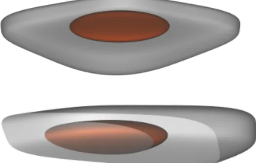 Figure 3: Illustration of the log approximation for the constraints for an error level 1 (in grey)