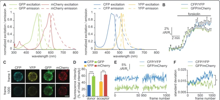 Figure 2 Reduced noise level of pm-Epac2-camps-GFP/mCherry compared to pm-Epac2-camps-CFP/YFP