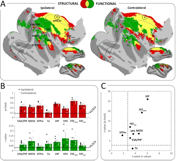 Figure 6. Conjunction of functional and structural connectivity. (A) Overall maps of pmCSv connectivity, with structural connectivity only (in red), functional connectivity only (in green), or both types of connectivity (in yellow), projected on flattened 