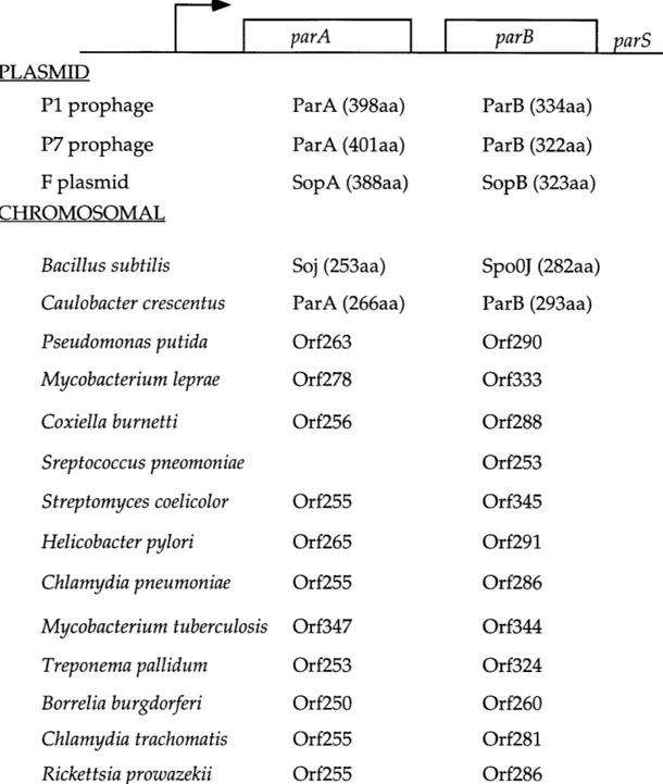 Fig.  1-8  Plasmid  and Chromosomally  encoded  ParA and ParB  homologues.