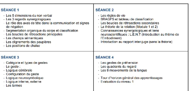 Figure 6 : Niveau 1 de formation en synergologie 