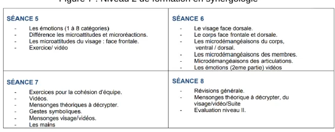 Figure 7 : Niveau 2 de formation en synergologie 