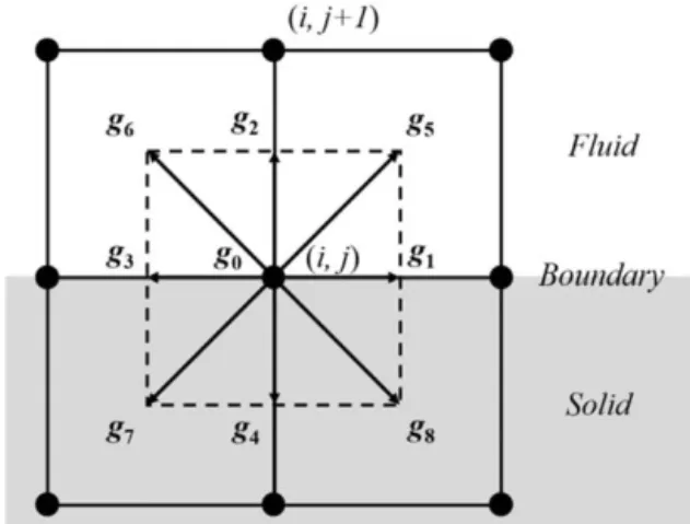 Figure 4. Concentration distribution on a fluid–solid boundary of D2Q9 lattice.