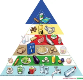 Figure 2 : Pyramide alimentaire 