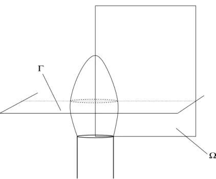 Figure 1: Bunsen ﬂame: the NO ﬂux is evaluated through Γ = {z = 1.5cm}