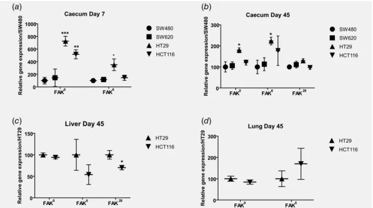 Figure 5 . Quantitative analyses for FAK 0 , FAK 6 and FAK 28 mRNA variants expression at early and late steps of human colon tumors development in an in vivo mouse model