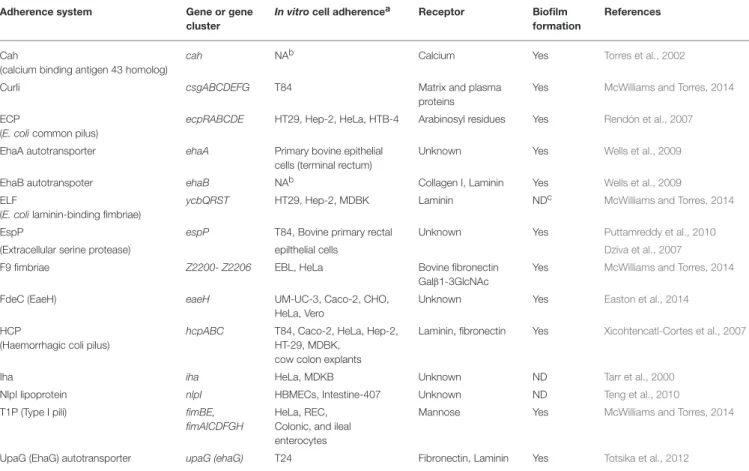 TABLE 1 | Adherence systems encoded by the E. coli MC2 genome.