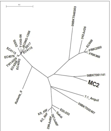 FIGURE 2 | Growth curves of E. coli MC2 Rif R incubated in bovine digestive contents. The E