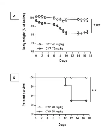 FIGURE 2 | Change in body weight and survival after chronic injection of CYP at either 40 or 75 mg/kg dose