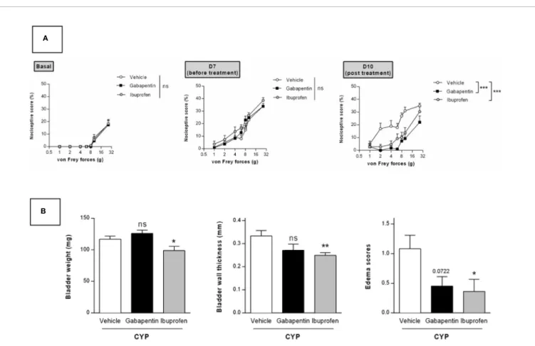 FIGURE 6 | Validation of the model by curative oral treatment of clinically relevant compounds