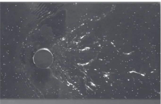Fig. 3 Experimental image of PTV