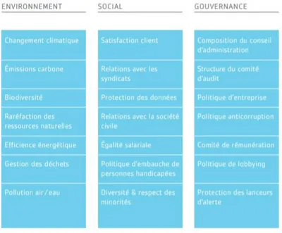 Tableau 2 : exemple d’une liste de critères du processus d’investissement best- best-in-class 