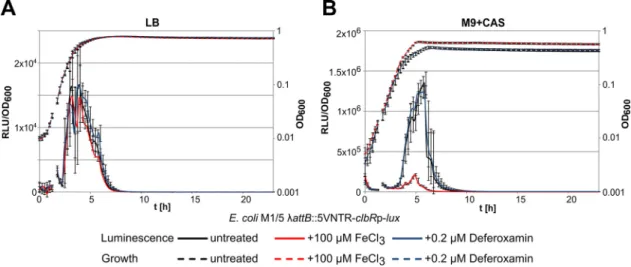 FIG 4 clbR promoter activity depends on iron availability. Levels of growth (OD 600 ) and relative luminescence (RLU/OD 600 ) of E