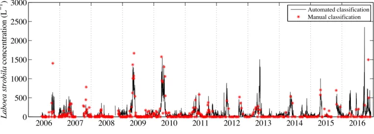 Figure 3-9: Daily resolved times series of Laboea strobila concentration at MVCO from automated classification (black)