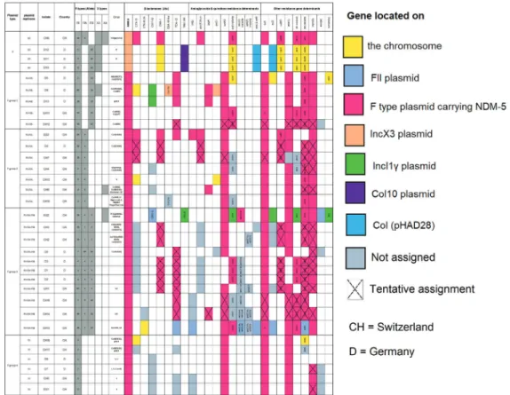 Table 2: Plasmid characterization of bla NDM-5  bearing E. coli isolates. All the antibiotic resistance genes are shown