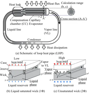 Fig. 1. Behavior of phase distribution in LHP wick. C is evaporation interface.