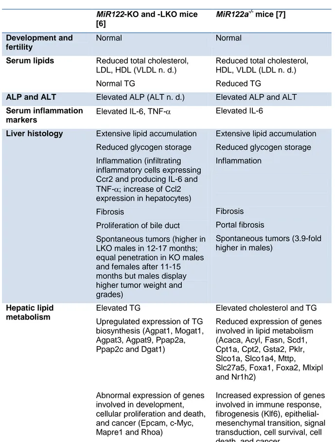 Table 1. Phenotype of miR122 knock-out mice and effect of miR122 restoration. 