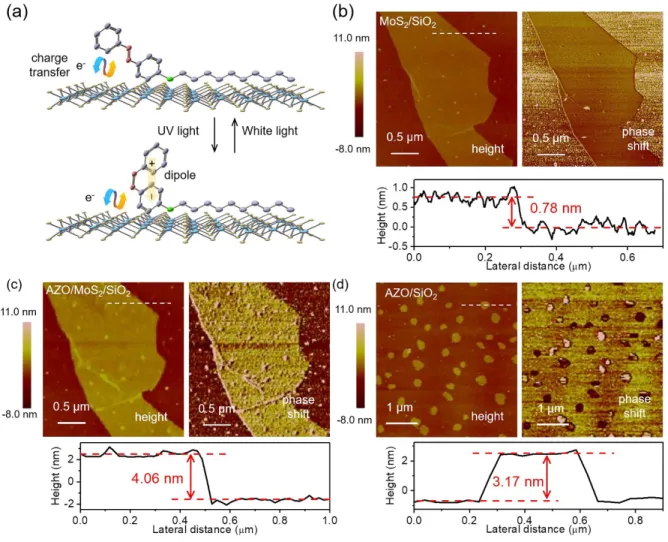 Figure 1. Morphological characterization of the AZO/MoS 2  hybrid system. (a) Schematic of the  hybrid  system  based  on  photochromic  molecules  (4-(decyloxy)  azobenzene)  and  2D  semiconductors  (MoS 2 ),  and  model  of  the  azobenzene’s  reversibl