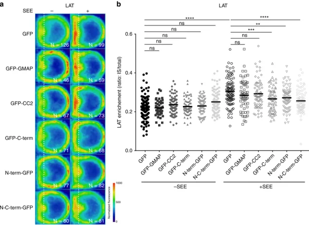 Fig. 7 GMAP210 tethering activity controls LAT recruitment at the immune synapse. a, b Confocal images (left panels) and quanti ﬁ cation (right panels) of the enrichment of LAT (a, b) at the immune synapse (depicted by the dotted white line) in Jurkat “ me
