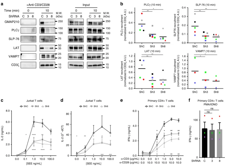 Fig. 3 GMAP210 expression controls formation of the immune synapse. a, b Confocal images a and quanti ﬁ cation b of the enrichment of LAT (left pannel) and CD3 ζ -GFP (rigth pannel) at the immune synapse (depicted by the dotted white line) in Jurkat “ mean