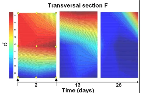 Figure 5 presents the variation of the temperature distribution in the transversal section F  along  the  composting  treatment  (2,  13  and  26  days  composting)