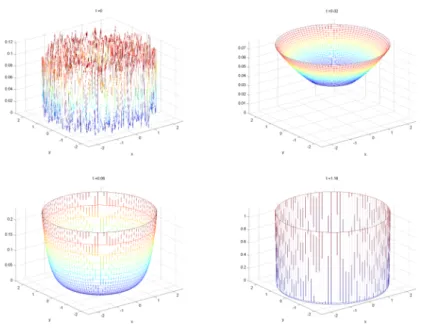 Figure 1: Numerical Simulations on Ω = [0.2, 2.5] × R /2π Z and all parame- parame-ters equal to 1 with random initial conditions