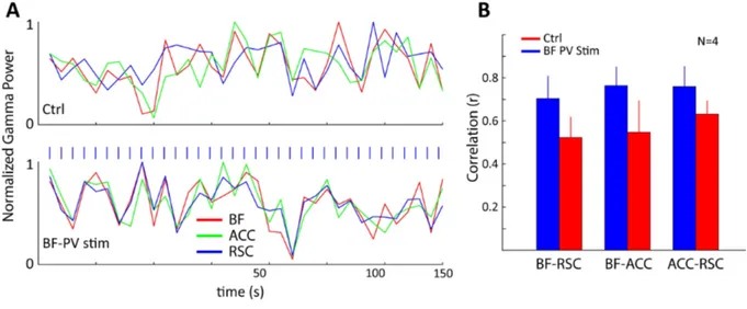 Figure S2. Correlation of gamma power over time. Gamma power in BF, RSC and ACC was calculated as the integral of the FFT between 30-80 Hz in sequential 5 second bins while the animals were in their home cage, an example for an individual animal is shown i