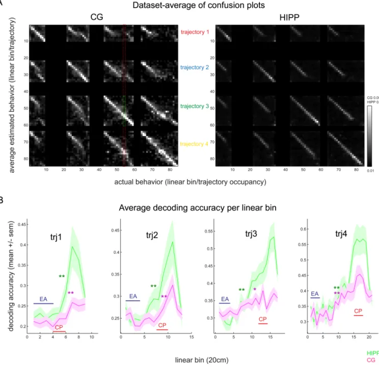Figure 3. Validation of CG and HIPP decoding and dynamics of trajectory estimation accuracy (A) CG and HIPP trajectory confusion plots: for each real linear bin from each trajectory, the average neural-estimated linear bin and trajectory (computed by encod