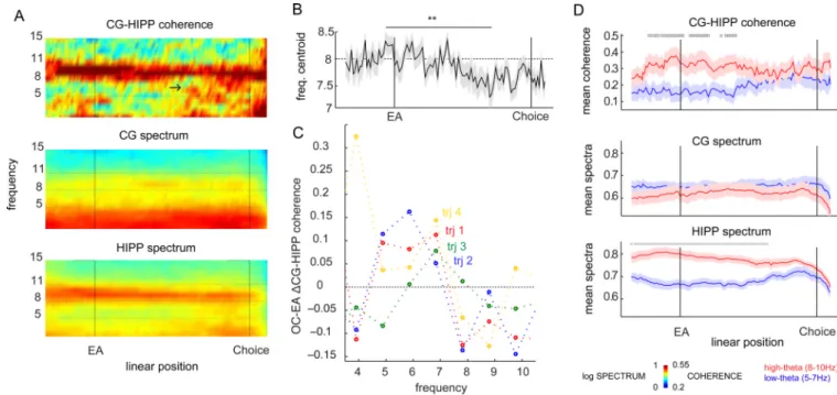 Figure 4. Behavioral dynamics of CG-HIPP LFP coherence and spectra