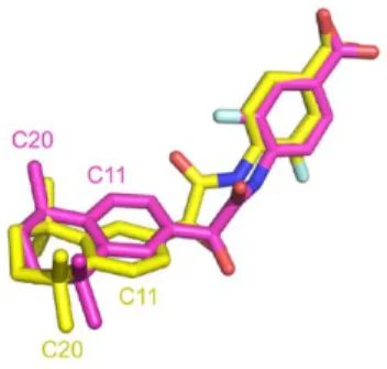 Figure 11. Atom label inverted in two PDB entries (PDB IDs 4lbd in magenta and 1exx in yellow)