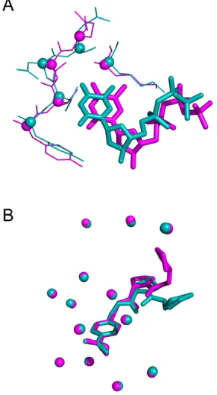Figure 12. Three-dimensional representation of (A) effector TTP deviation bound to Ribonucleotide  (PDB IDs 3hnd in blue and 3hnf in magenta, wRMSD f  2.08 Å), (B) fragment shift in trypsin S3 pocket  (3ljj in blue 2zft in magenta, wRMSD f  1.97 Å)