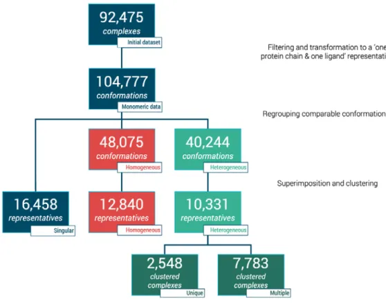 Figure 1. Flowchart of dataset clustering and characterization of protein–ligand complexes