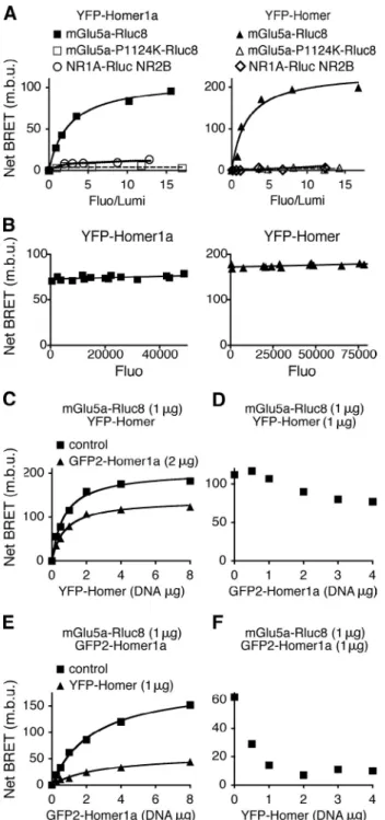 Figure 1.  The long and short Homer isoforms specifically and competitively  interact with mGlu5a receptor in living cells