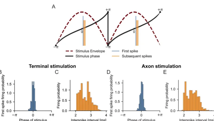 Figure S2. Temporal analysis of axonal activity by TI stimulation, related to Figure 3