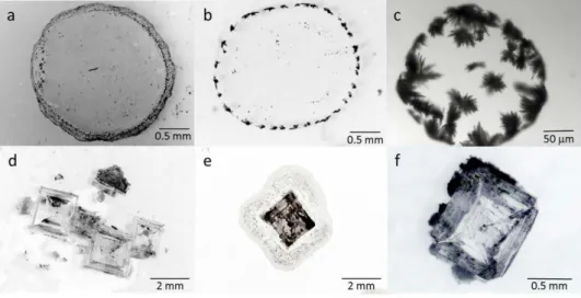 Figure 2.  Crystallization pattern of two types of salt solution droplets at the end of drying on three types  of glass slides with different wetting properties