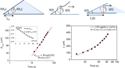 Figure 5.  Top: schematic presentation of the inward movement of the crystal during its growth due to  capillary forces
