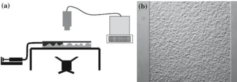 Fig. 3 (a) Schematic view of slow drainage experiment within the artificial fracture. (b) Top view of the milling machined artificial fracture