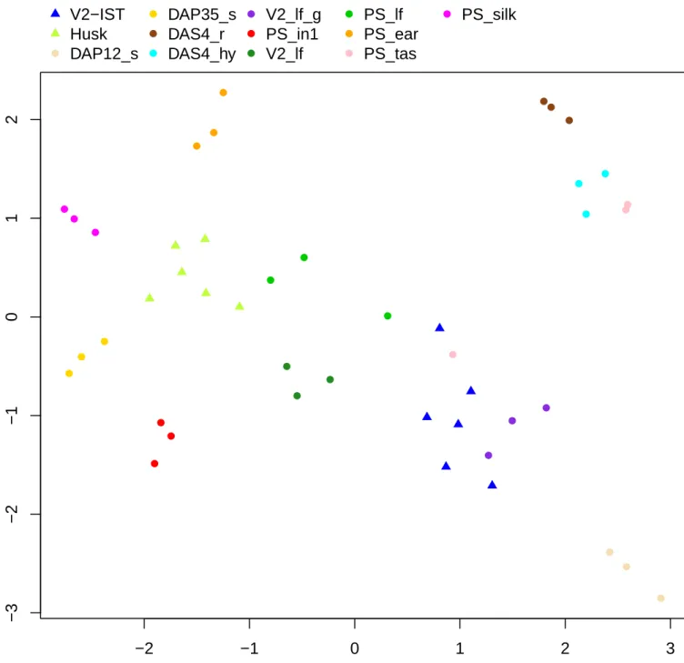 Figure S2: UMAP representation of edge weights from sample-specific networks. Circles correspond to samples from the GeneAtlas AMAIZING dataset and triangles to the Oka et al