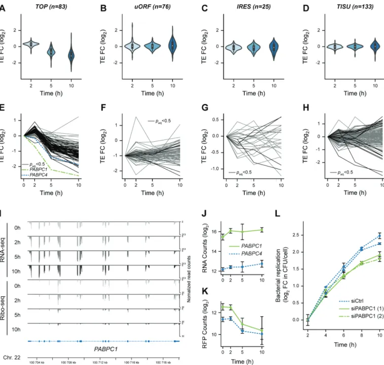 Figure  4.  Translational  repression  of  5ʹ-terminal  oligopyrimidine-containing  transcripts,  including  PABPC1,  during  Lm  infection