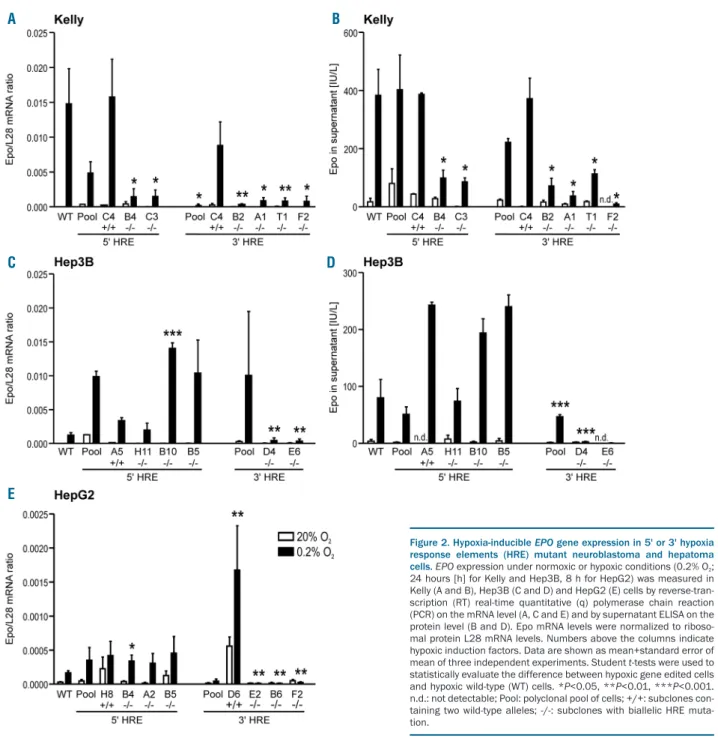 Figure 2. Hypoxia-inducible EPO gene expression in 5' or 3' hypoxia response  elements  (HRE)  mutant  neuroblastoma  and  hepatoma cells
